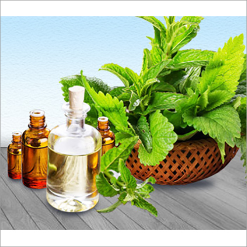 Peppermint Oil BP In Indonesia